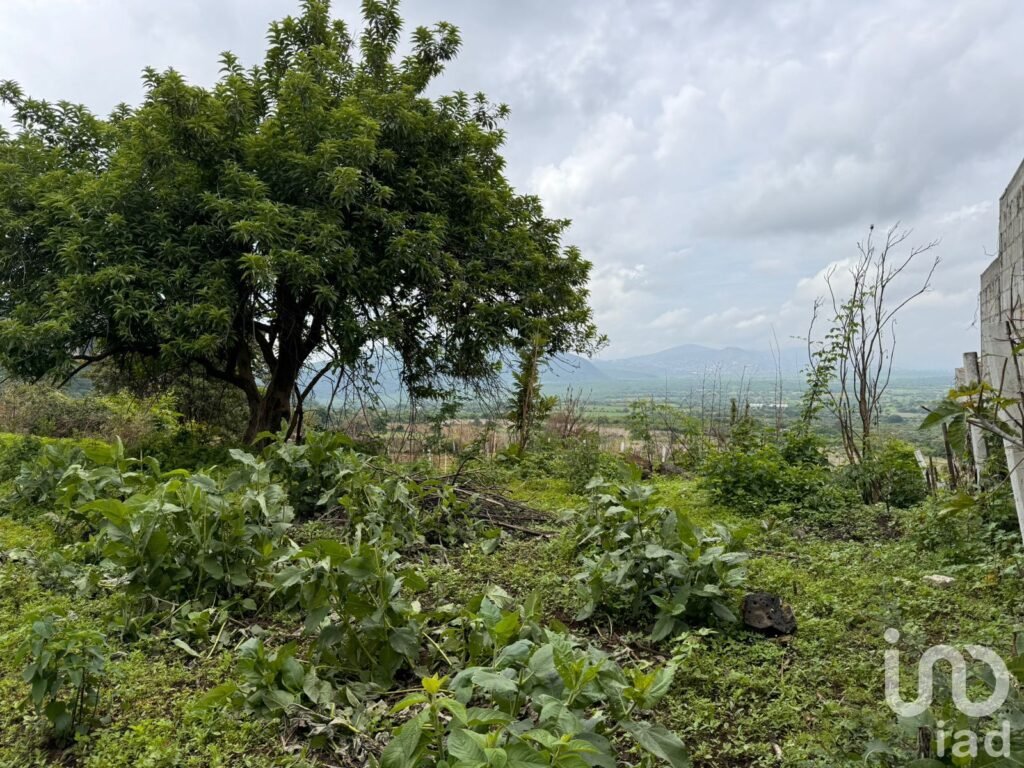 TERRENO EN VENTA, CARRETERA FEDERAL CUERNAVACA - TEPOZTLÁN