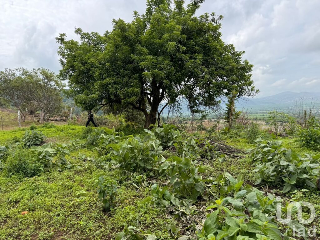 TERRENO EN VENTA, CARRETERA FEDERAL CUERNAVACA - TEPOZTLÁN