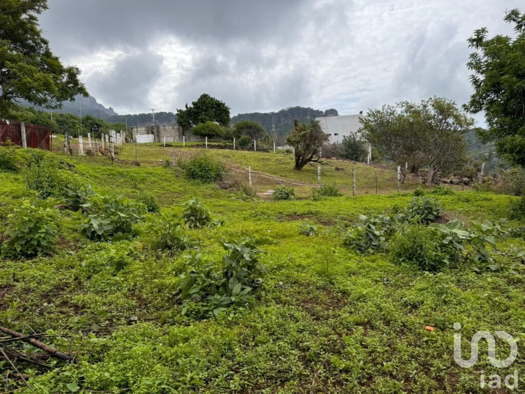 TERRENO EN VENTA, CARRETERA FEDERAL CUERNAVACA - TEPOZTLÁN