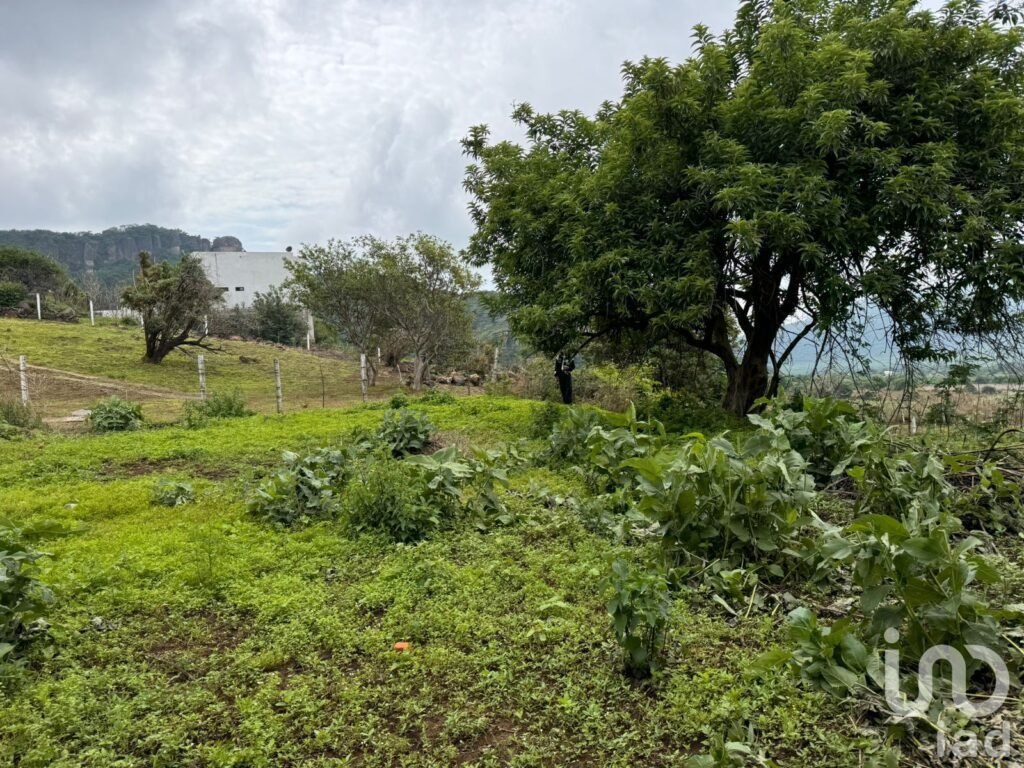 TERRENO EN VENTA, CARRETERA FEDERAL CUERNAVACA - TEPOZTLÁN