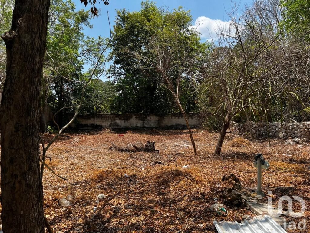 Rento terreno para negocio en el centro de hunucma, yucatan.