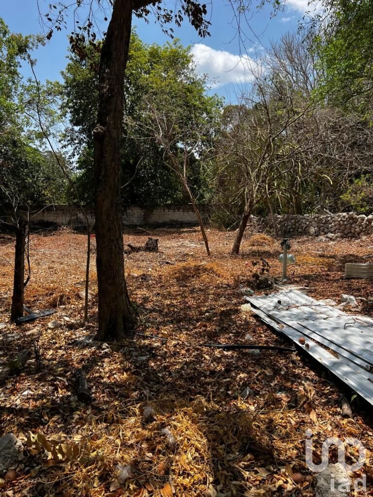 Rento terreno para negocio en el centro de hunucma, yucatan.