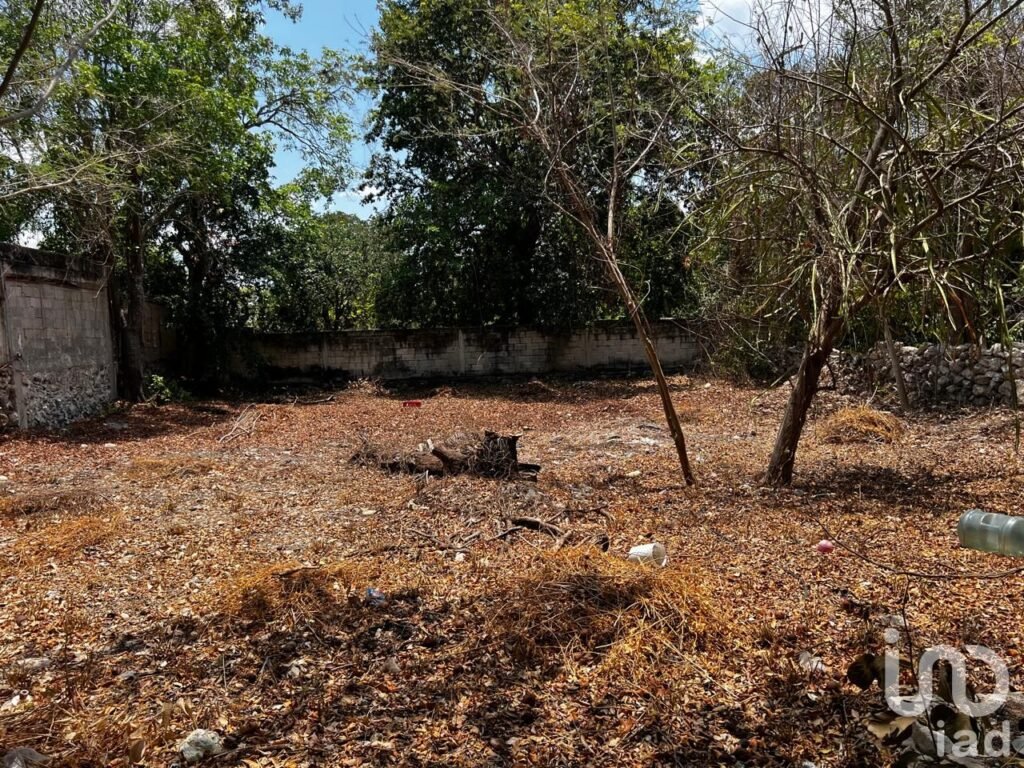 Rento terreno para negocio en el centro de hunucma, yucatan.