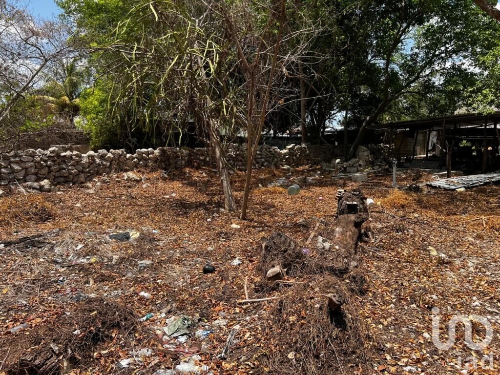 Rento terreno para negocio en el centro de hunucma, yucatan.