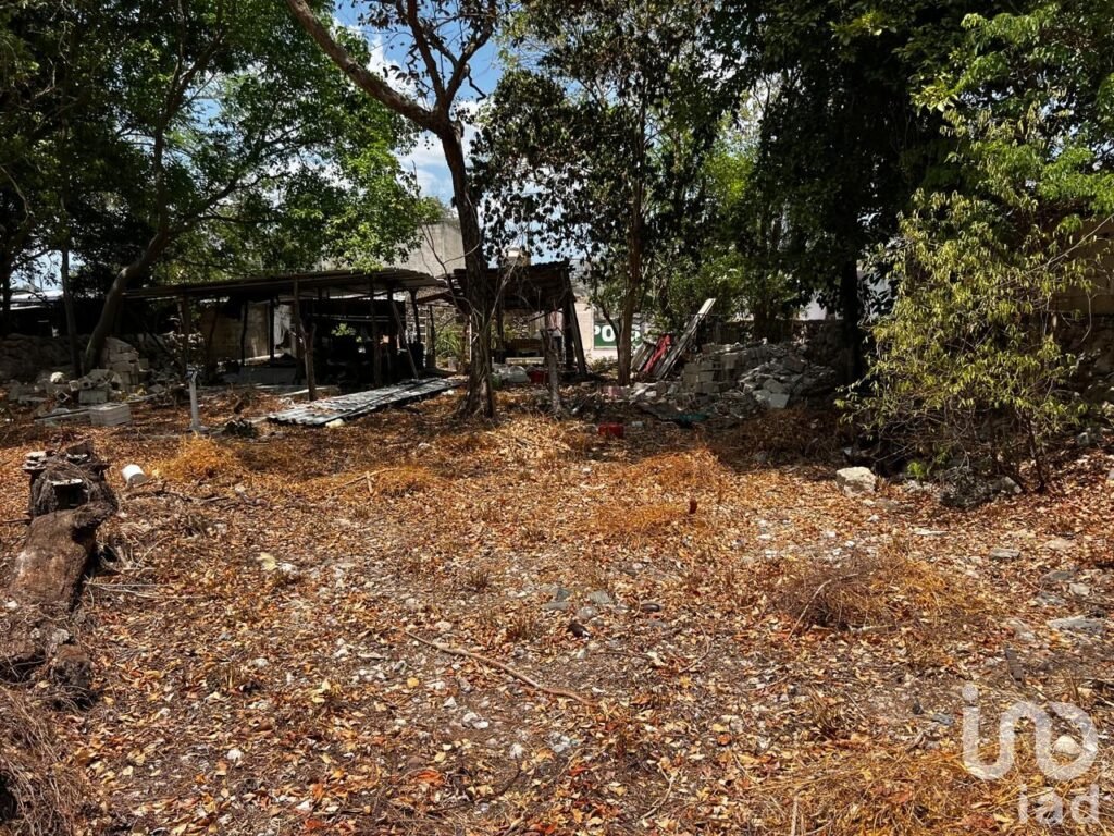 Rento terreno para negocio en el centro de hunucma, yucatan.
