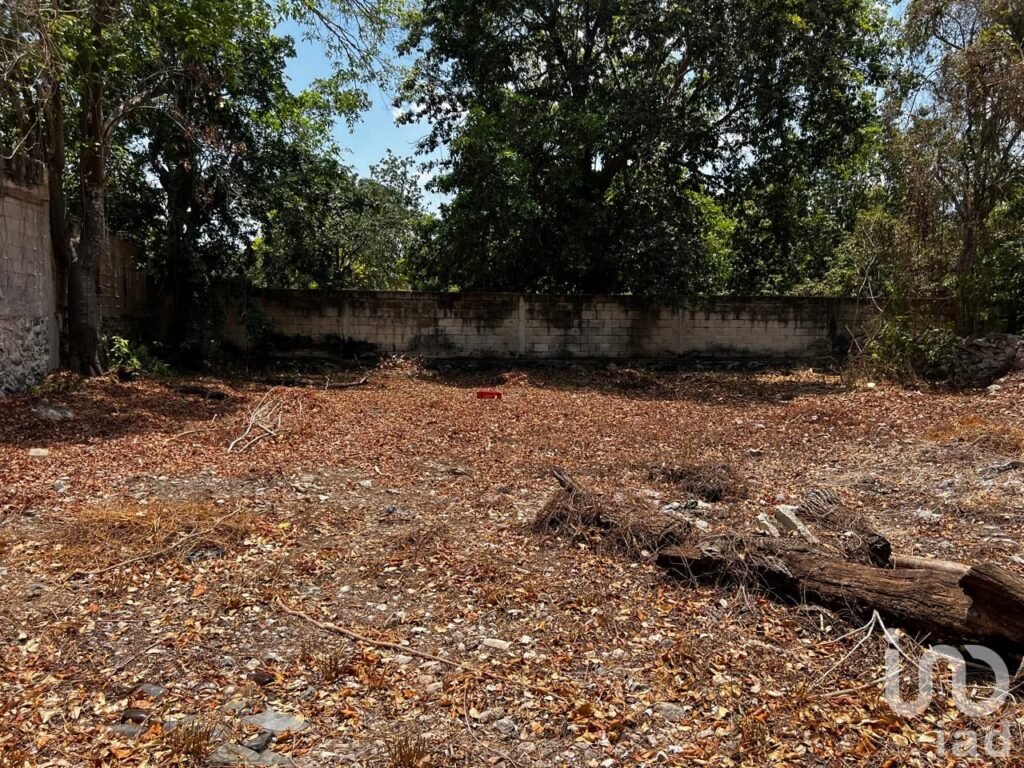 Rento terreno para negocio en el centro de hunucma, yucatan.