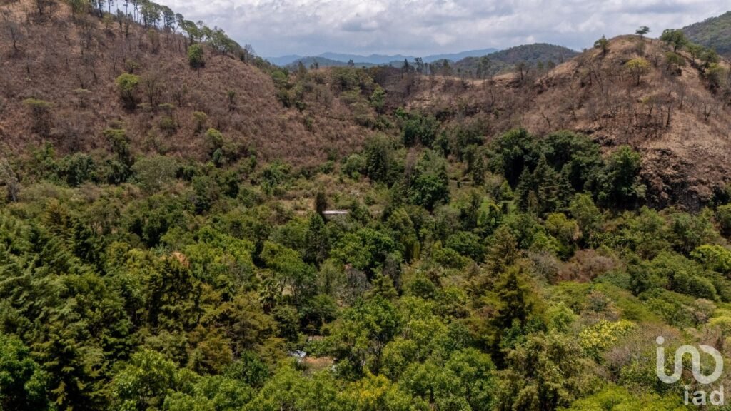 Venta de terreno con chalet tipo cabaña en Temascaltepec Valle de Bravo
