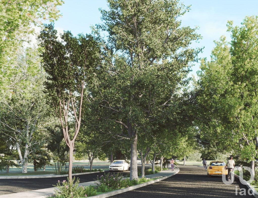 ¡Obtén tu Lote Junto al Country Club Yucatán en Savia Desarrollo Privado y Exclusivo!.
