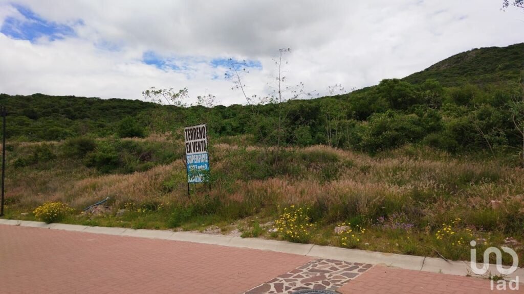 LOTE COMERCIAL MONTAÑA CD MADERAS