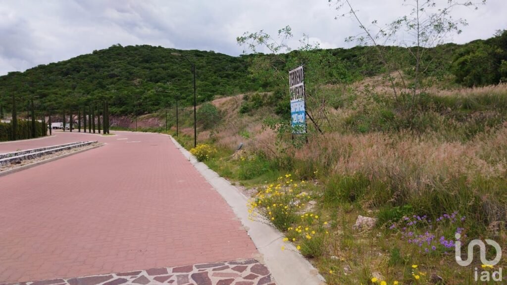LOTE COMERCIAL MONTAÑA CD MADERAS