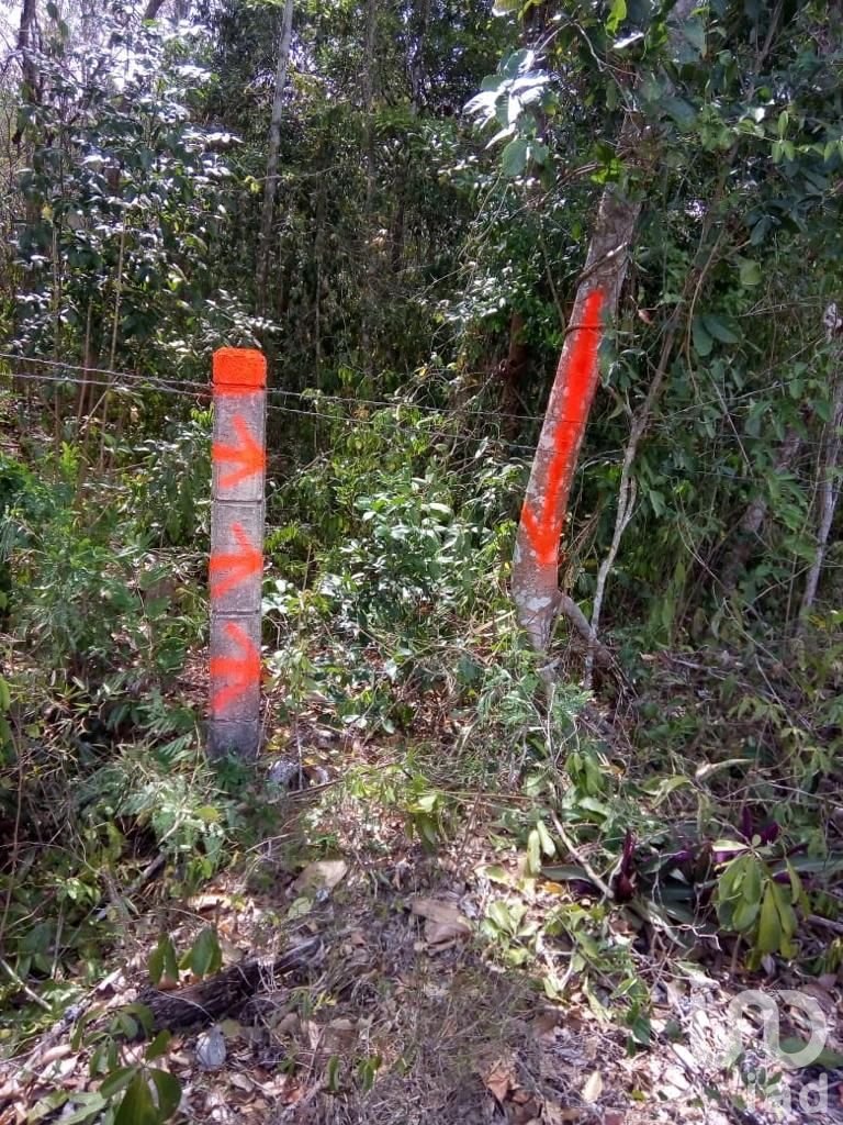 TERRENO EN VENTA CARRETERA TULUM-CARRILLO PUERTO