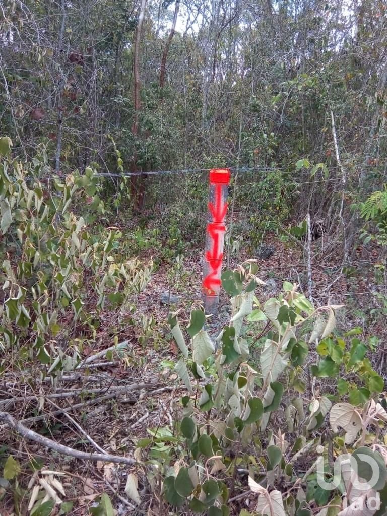 TERRENO EN VENTA CARRETERA TULUM-CARRILLO PUERTO
