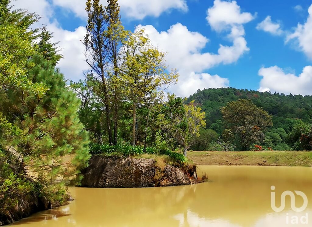 RANCHO en VENTA en COATEPEC de las HARINAS