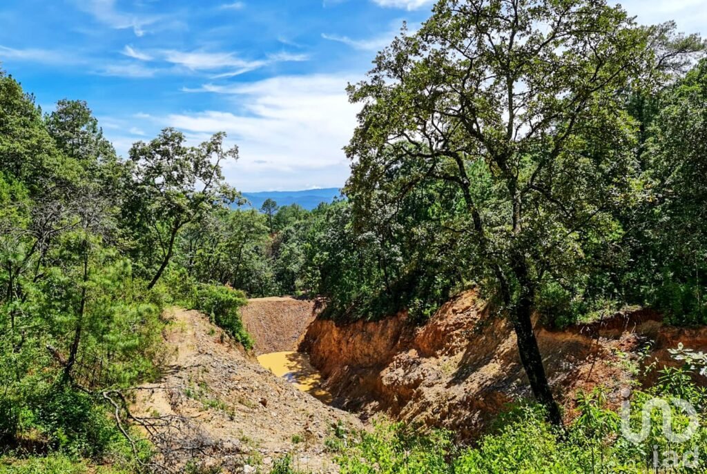 RANCHO en VENTA en COATEPEC de las HARINAS