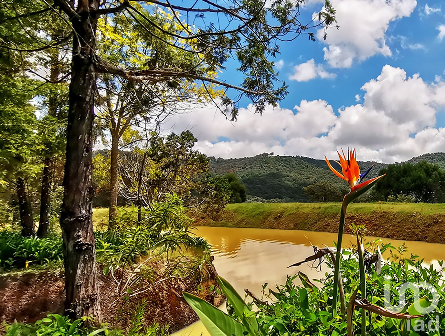 RANCHO en VENTA en COATEPEC de las HARINAS
