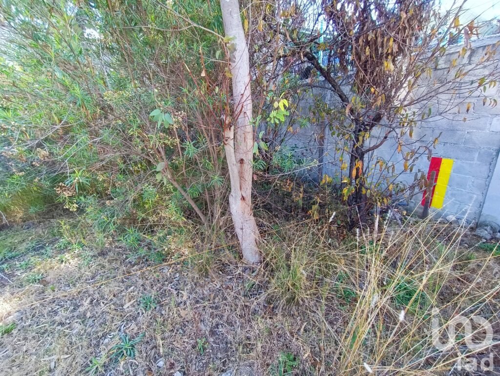 TERRENO EN VENTA, SAN CRISTÓBAL DE LA CASAS, CHIAPAS