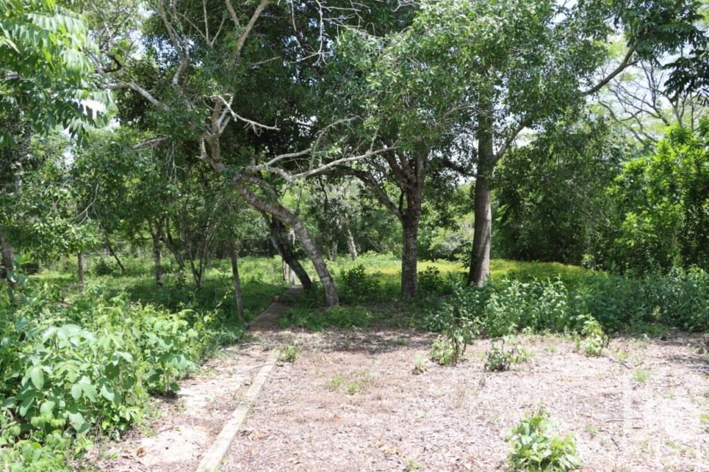 Vendo Terreno residencial, en privada con servicios y escritura publica en Nuevo Eden