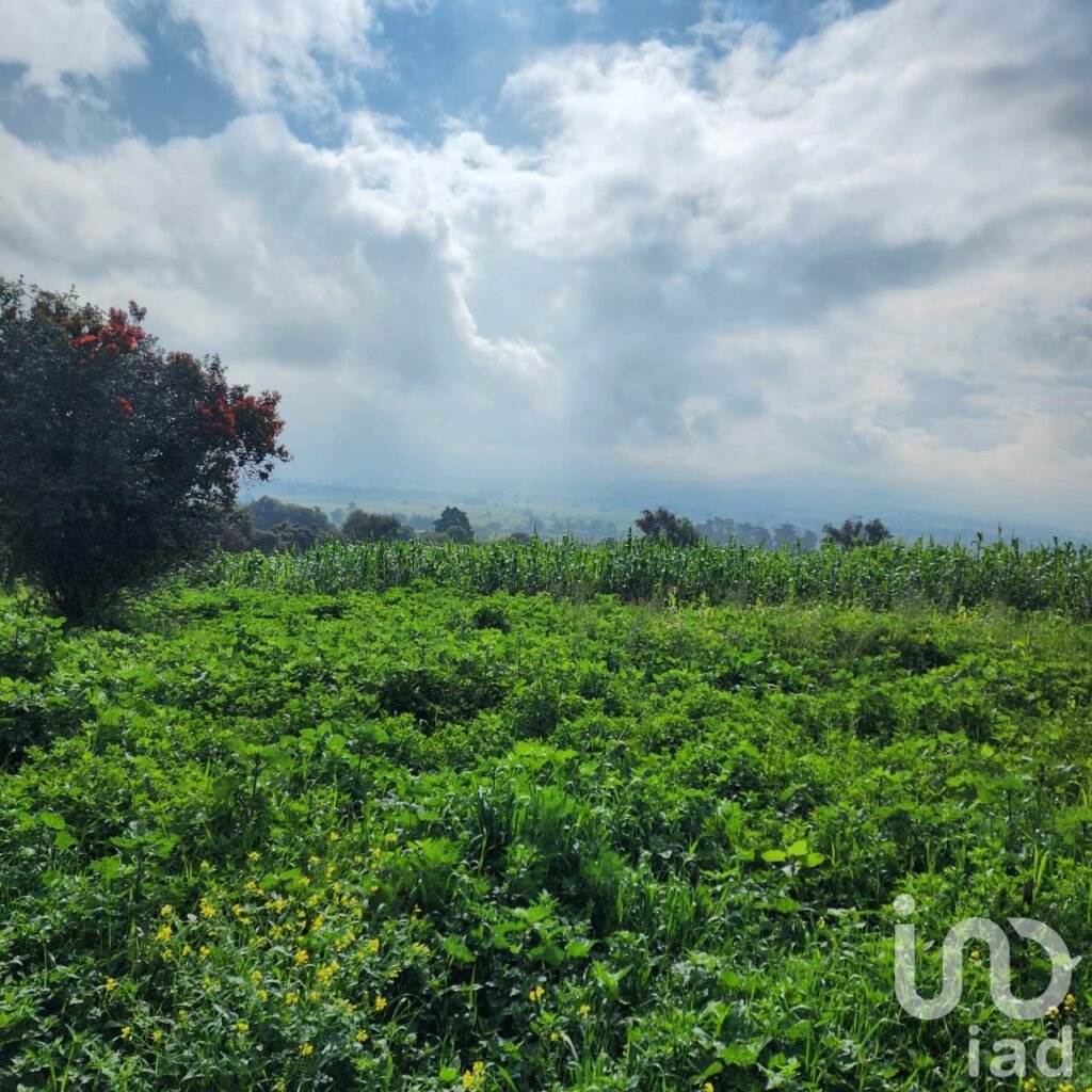 TERRENO EN VENTA EN ZOYATZINGO, AMECAMECA, EDO DE MEX
