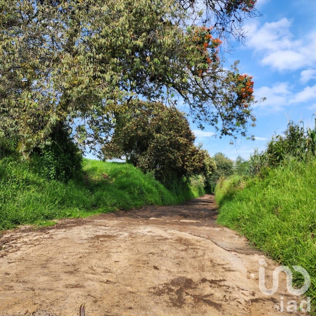 TERRENO EN VENTA EN ZOYATZINGO, AMECAMECA, EDO DE MEX