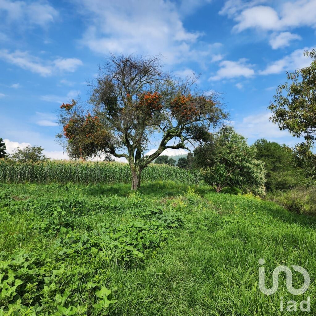 TERRENO EN VENTA EN ZOYATZINGO, AMECAMECA, EDO DE MEX