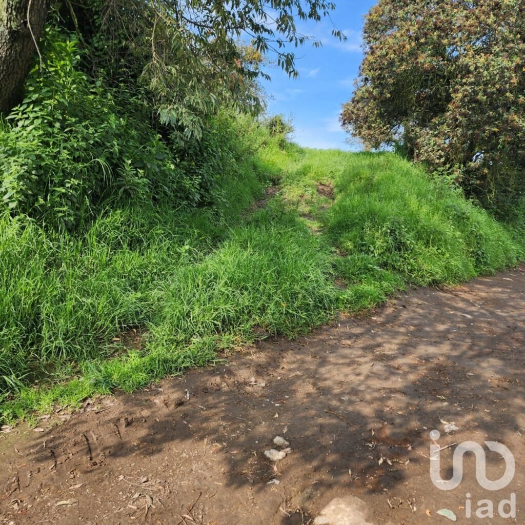 TERRENO EN VENTA EN ZOYATZINGO, AMECAMECA, EDO DE MEX