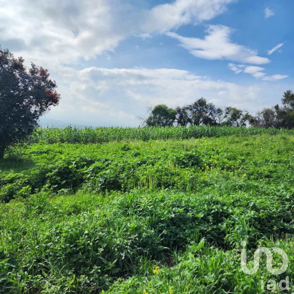 TERRENO EN VENTA EN ZOYATZINGO, AMECAMECA, EDO DE MEX