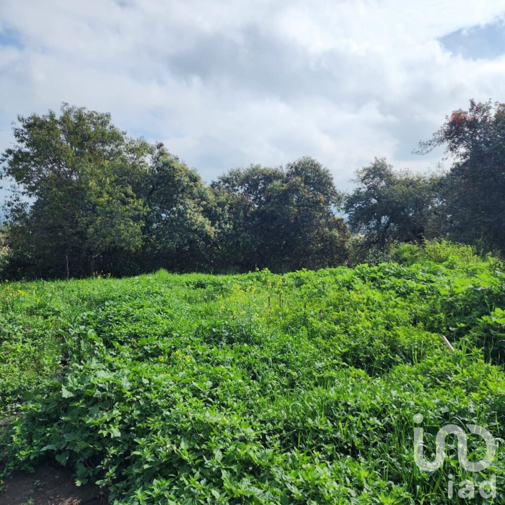 TERRENO EN VENTA EN ZOYATZINGO, AMECAMECA, EDO DE MEX