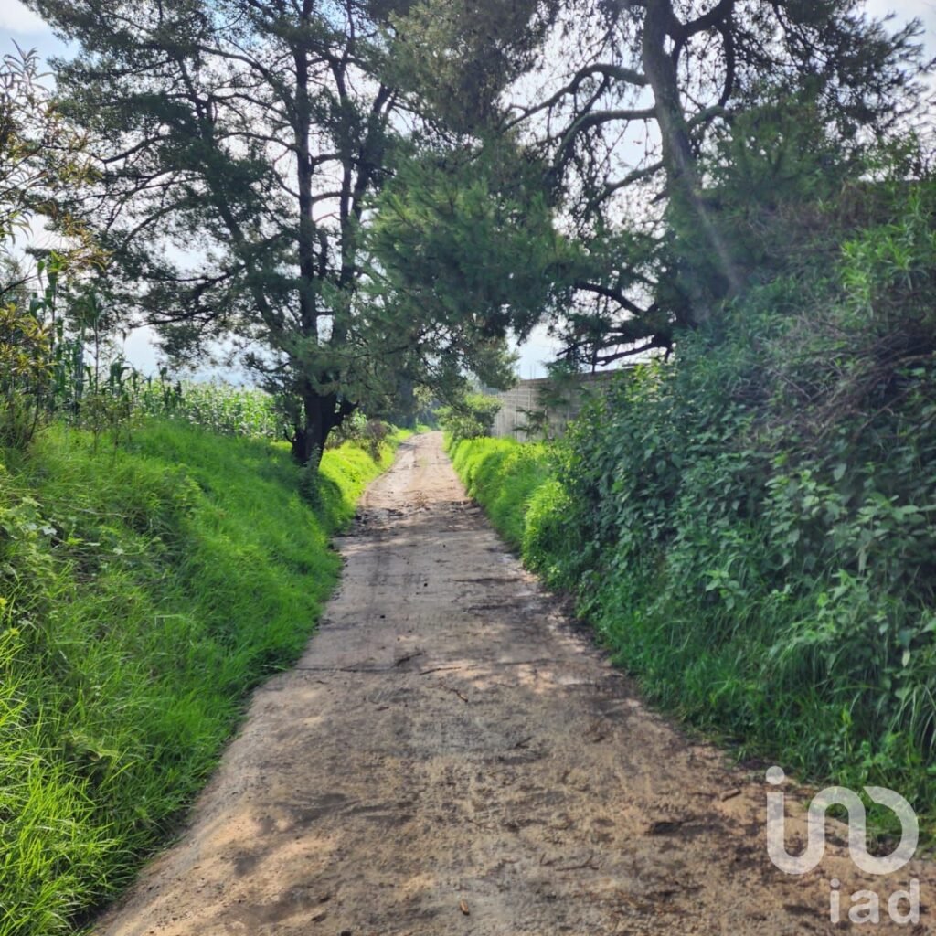 TERRENO EN VENTA EN ZOYATZINGO, AMECAMECA, EDO DE MEX