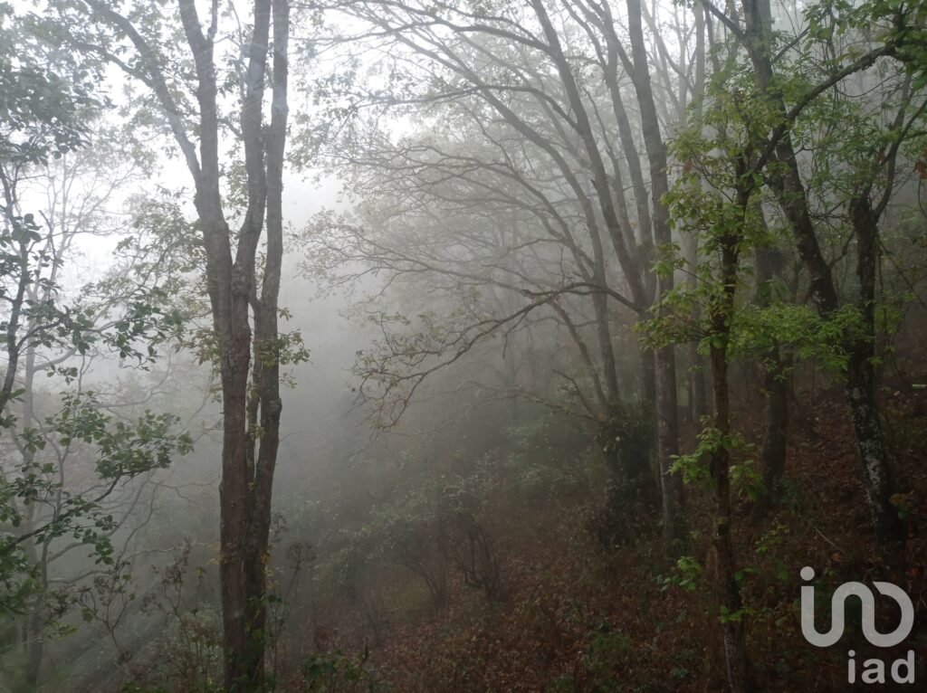 Terreno en Venta, Barrio San Nicolás, San Cristóbal de las Casas, Chiapas