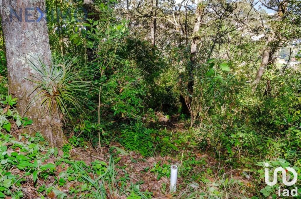 Terreno en Venta, Barrio San Nicolás, San Cristóbal de las Casas, Chiapas