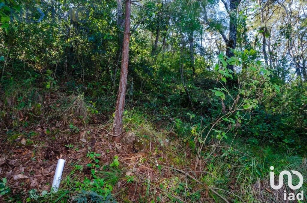 Terreno en Venta en San Nicolás, San Cristóbal de las Casas, Chiapas