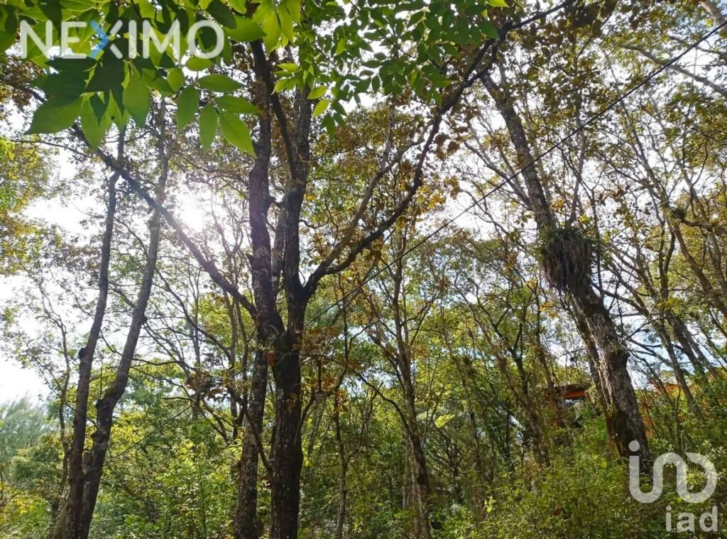 Terreno en Venta en San Nicolás, San Cristóbal de las Casas, Chiapas