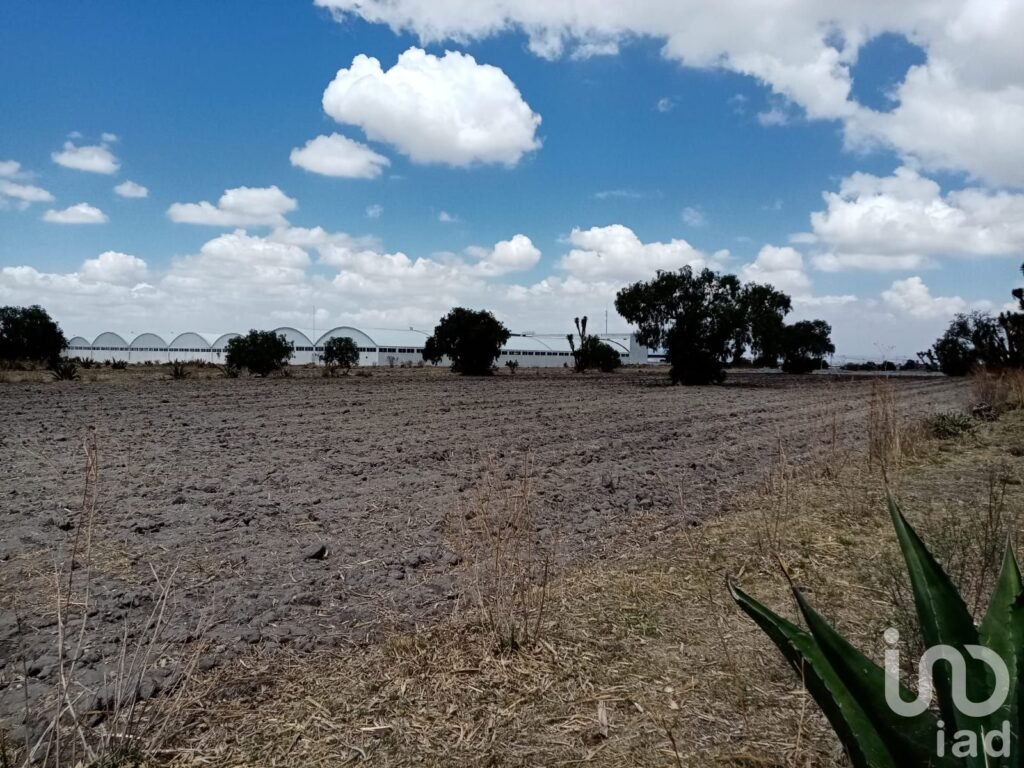 Terrenos Ejidales en Venta, entre San Francisco y el Carmen Tizayuca. Uso Habitacional e Industrial.