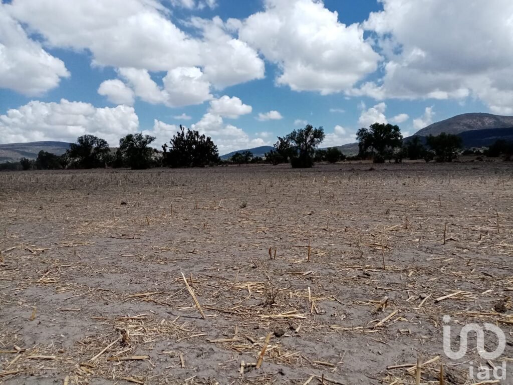 Terrenos Ejidales en Venta, entre San Francisco y el Carmen Tizayuca. Uso Habitacional e Industrial.