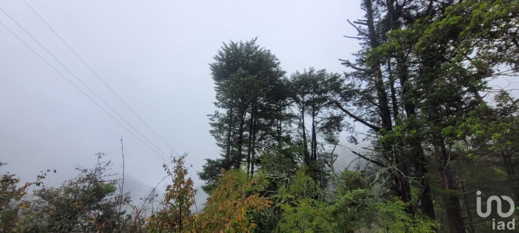 Se vende casa con dos cabañas en el Pueblo Mágico de Mineral del Chico, Hidalgo.