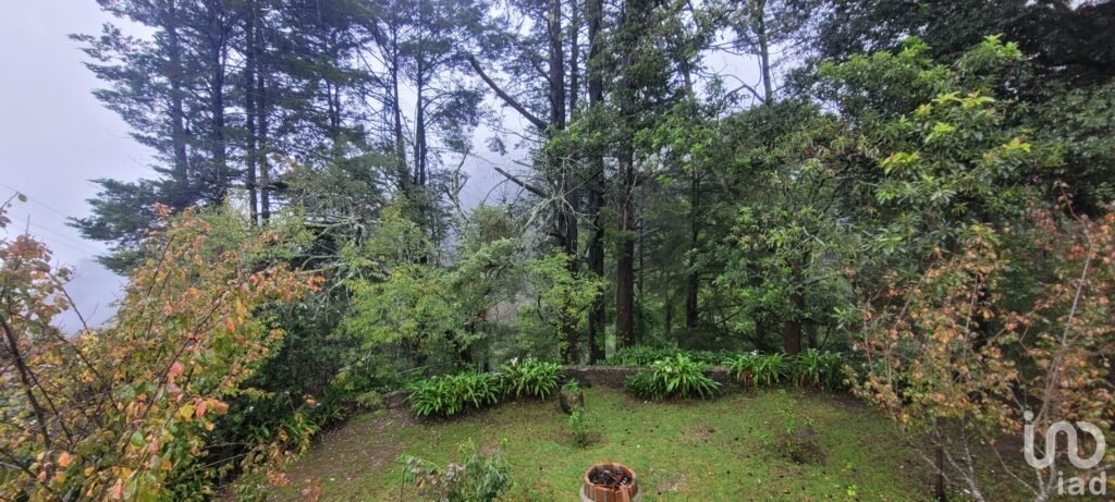 Se vende casa con dos cabañas en el Pueblo Mágico de Mineral del Chico, Hidalgo. - 2069880 terreno en venta se vende casa con dos cabanas en el pueblo magico de mineral del chico hidalgo 156426