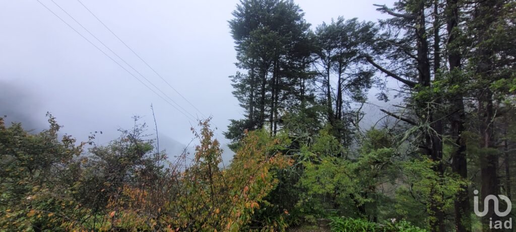 Se vende casa con dos cabañas en el Pueblo Mágico de Mineral del Chico, Hidalgo.