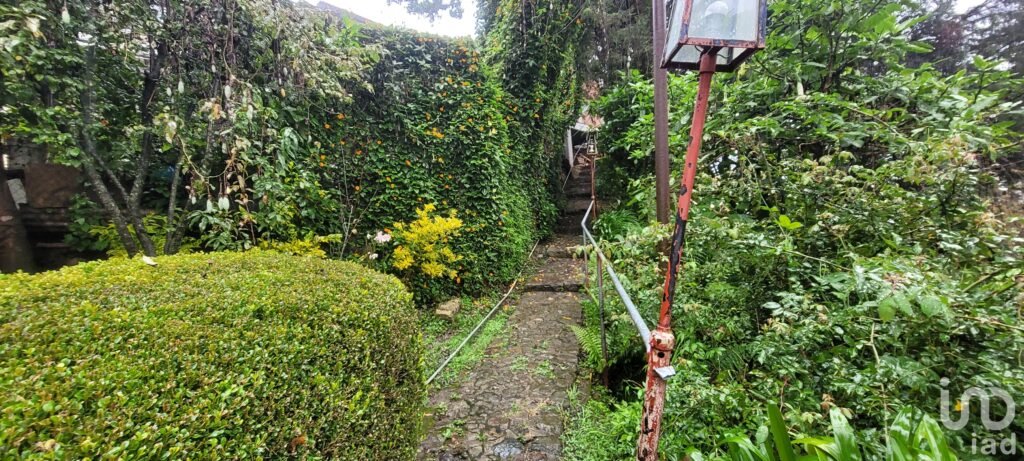 Se vende casa con dos cabañas en el Pueblo Mágico de Mineral del Chico, Hidalgo.