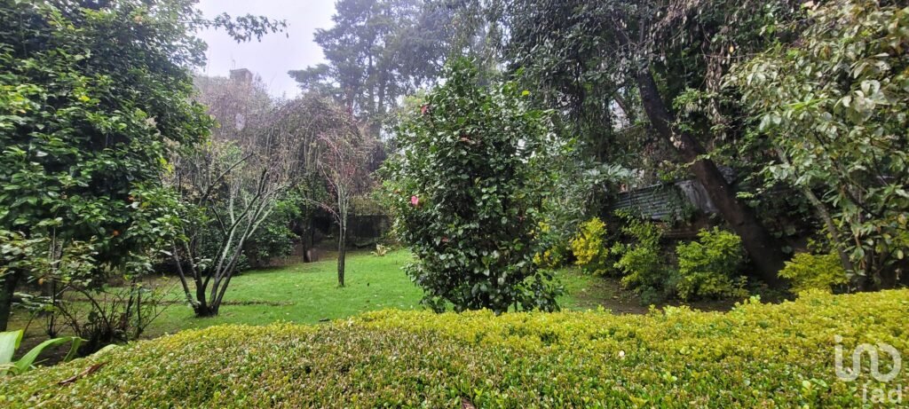 Se vende casa con dos cabañas en el Pueblo Mágico de Mineral del Chico, Hidalgo.