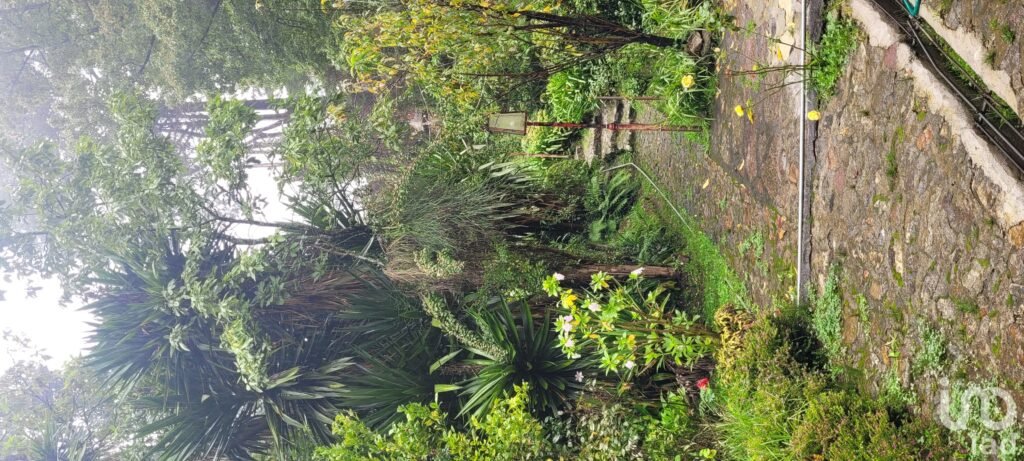 Se vende casa con dos cabañas en el Pueblo Mágico de Mineral del Chico, Hidalgo.
