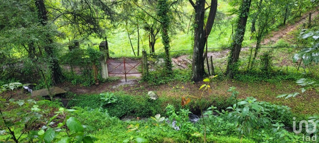 Se vende casa con dos cabañas en el Pueblo Mágico de Mineral del Chico, Hidalgo.