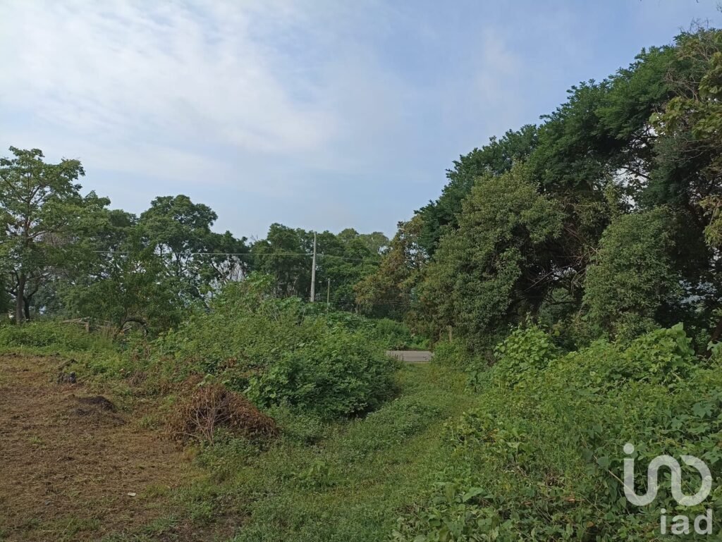 Terreno Santiago Tepetlapa