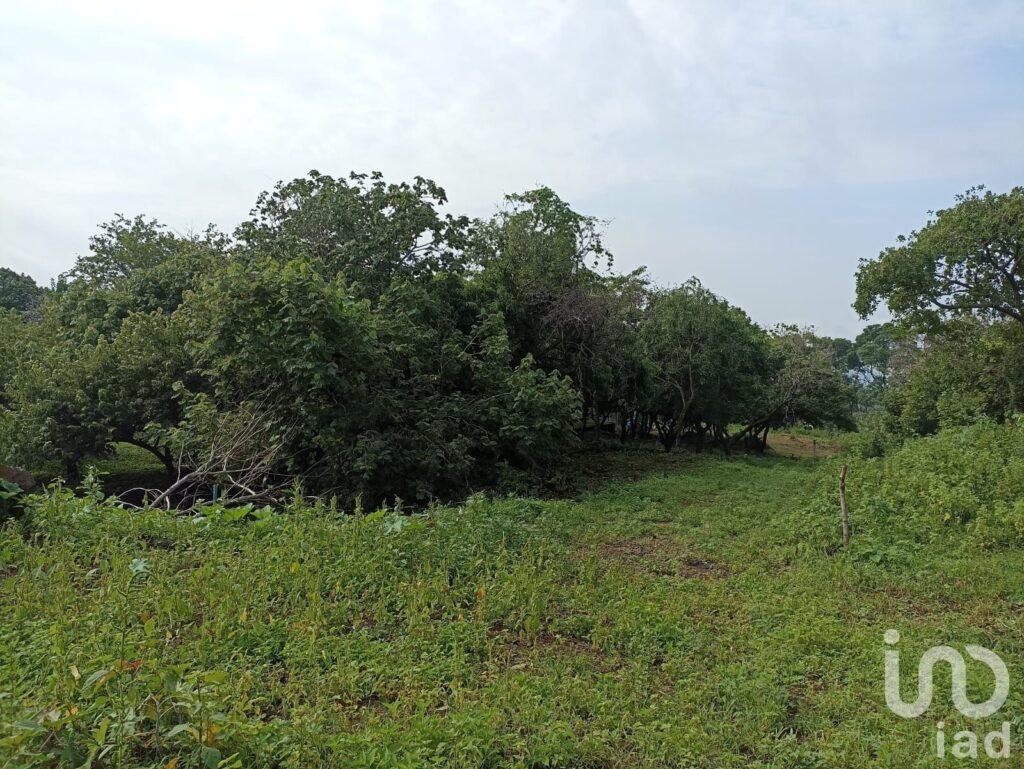 Terreno Santiago Tepetlapa