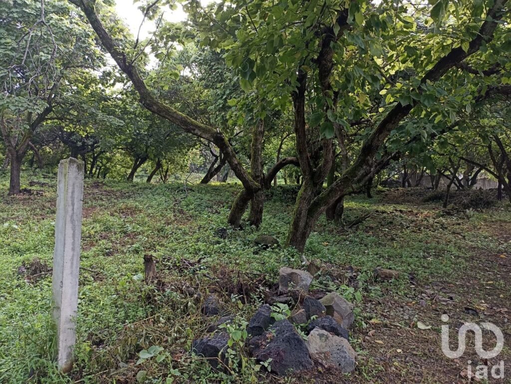 Terreno Santiago Tepetlapa