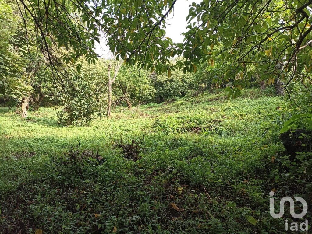 Terreno Santiago Tepetlapa