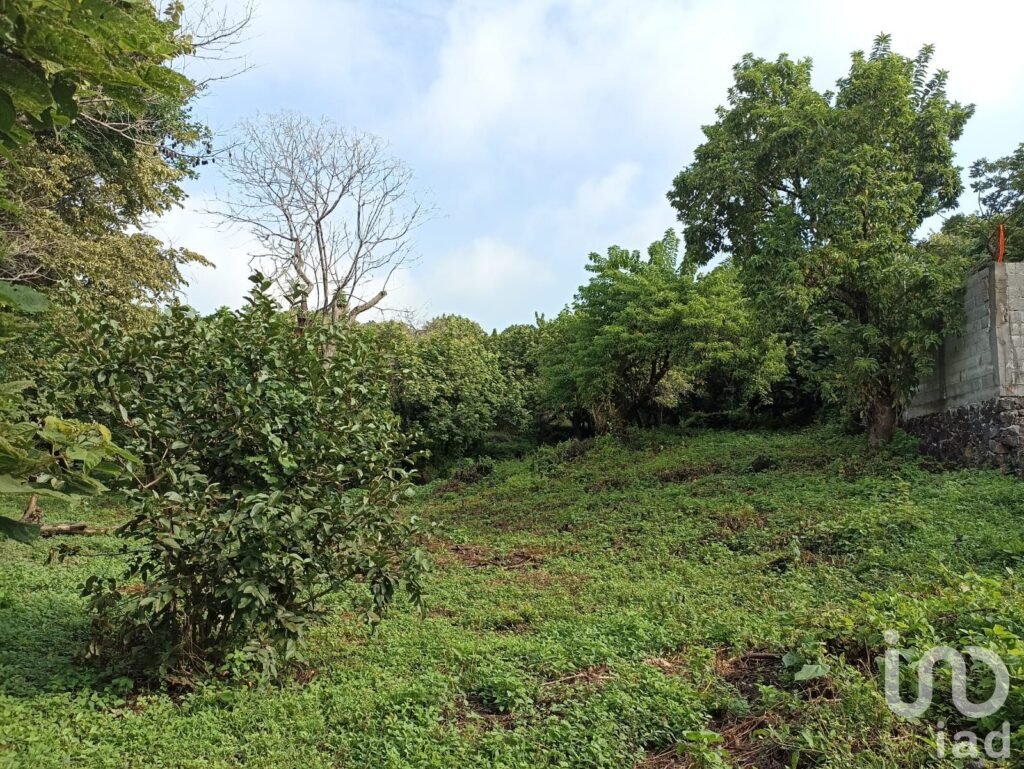 Terreno Santiago Tepetlapa