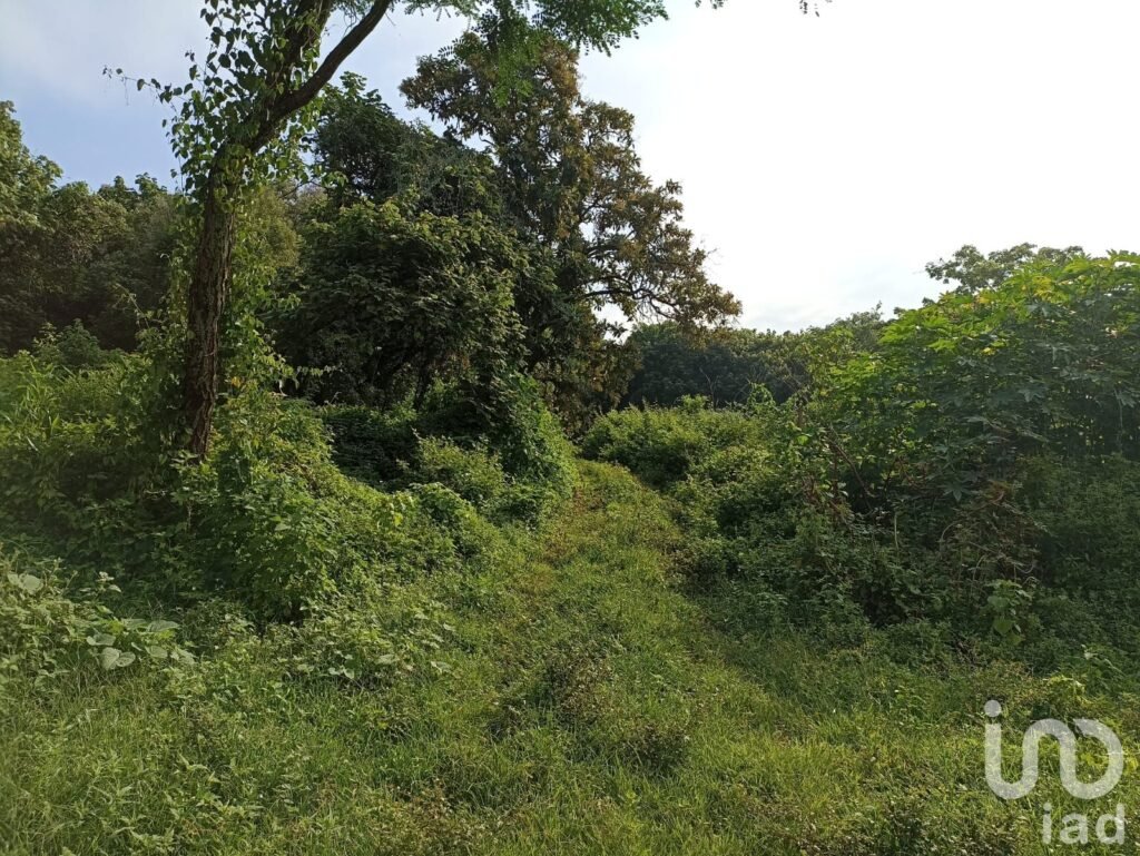 Terreno Santiago Tepetlapa