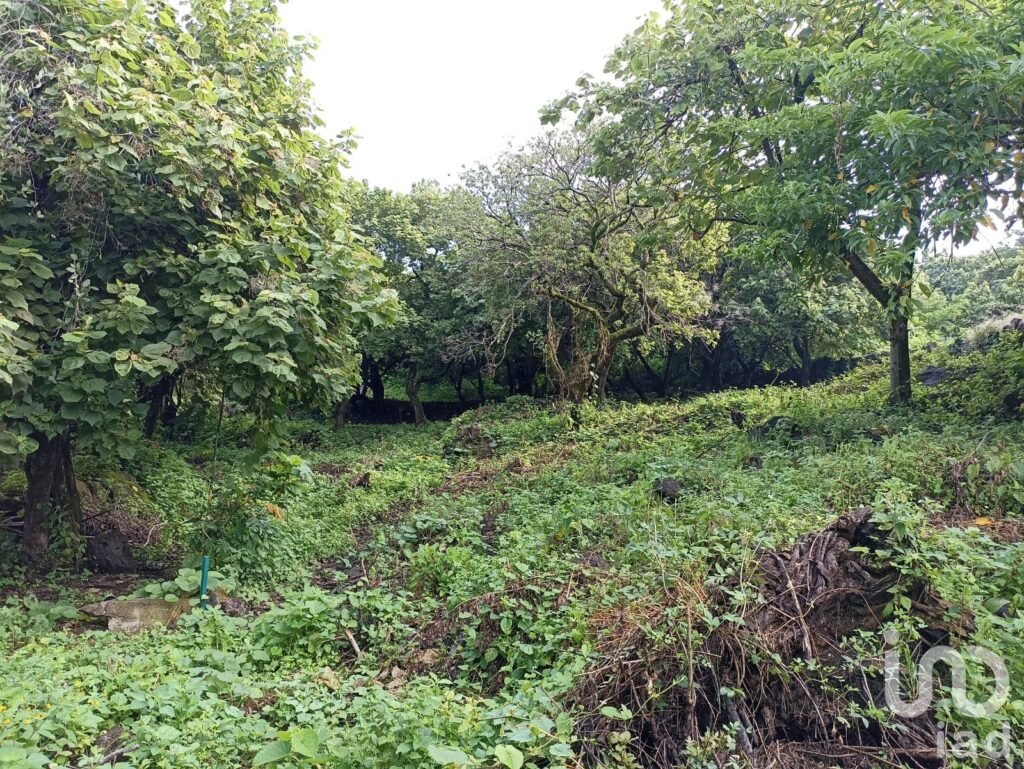 Terreno Santiago Tepetlapa