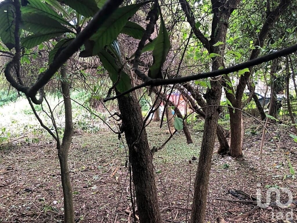TERRENO DE 1,056M2 EN AHUATEPEC CON ESCRITURAS.