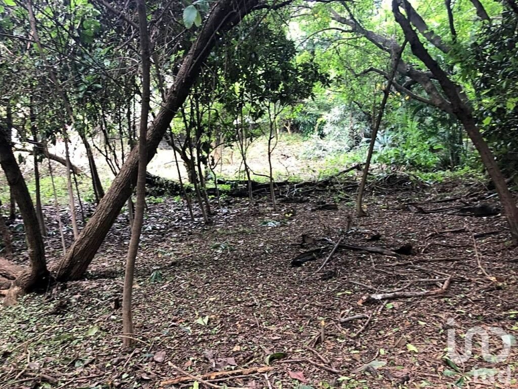 TERRENO DE 1,056M2 EN AHUATEPEC CON ESCRITURAS.